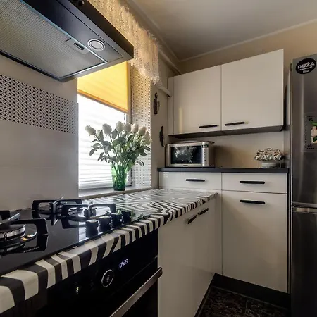 On Kryvonosa Апартаменти Львів