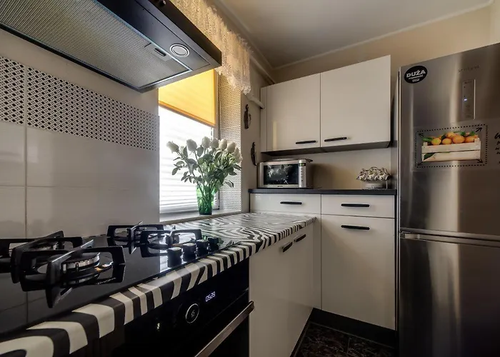 On Kryvonosa Apartment Lemberg